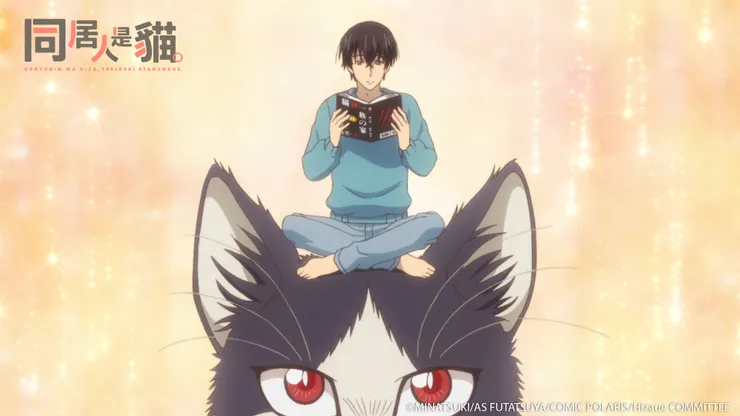 同居人時而在腿上、時而跑到腦袋上/同居人是貓 二ツ家あす , みなつき(療癒系作品)