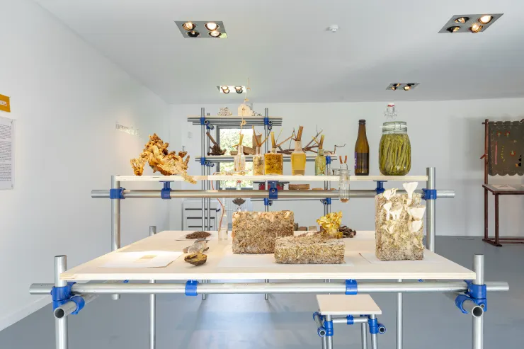 REPAIRING THE WORLD / ph: CAROLINE DETHIER