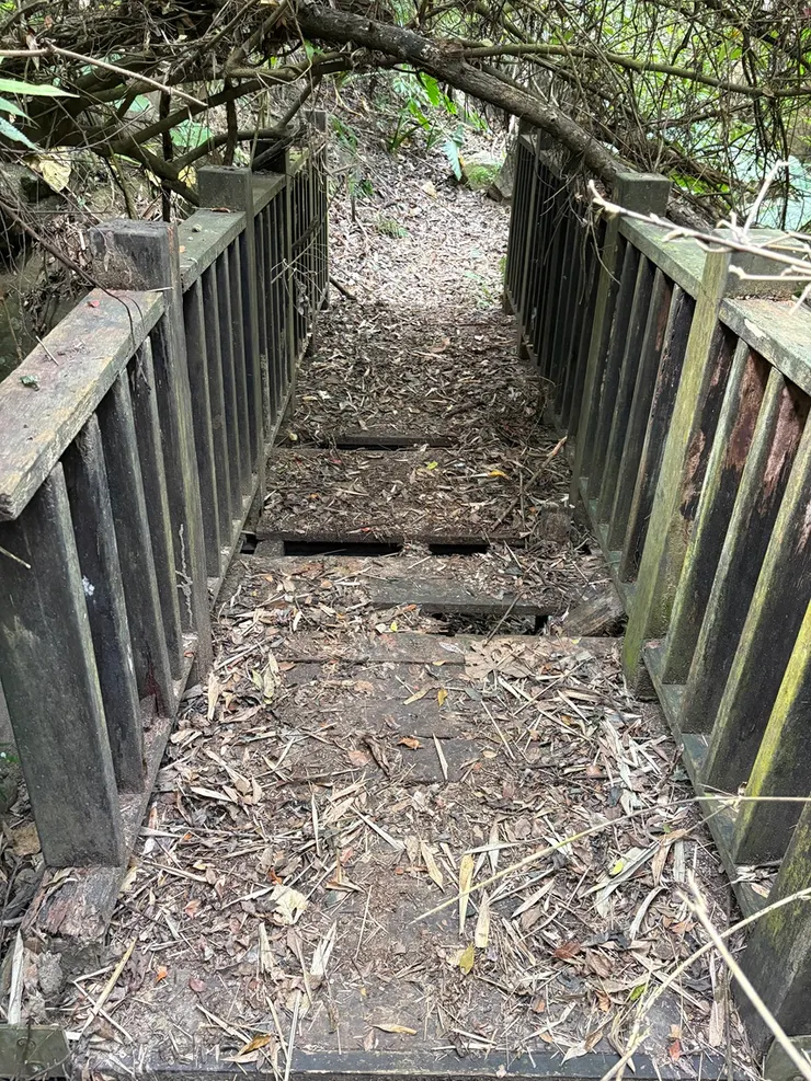 第二座橋面已呈現腐朽的跡象