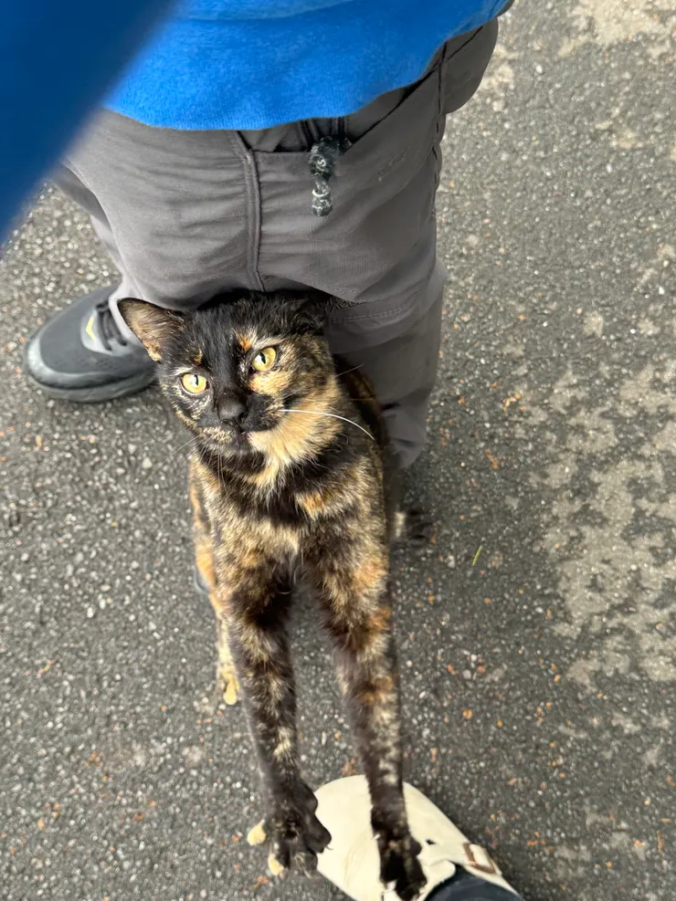 2026/04/01 蹭西瓜哥