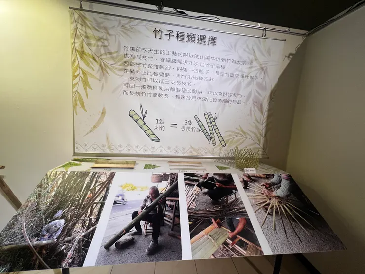 竹子的介紹