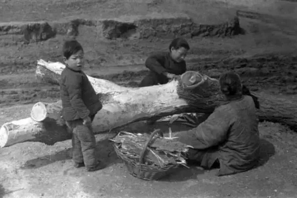 由於大躍進期間瞎折騰、中國發生大饑荒，百姓剝樹皮充饑，浮腫病氾濫。（公有領域）