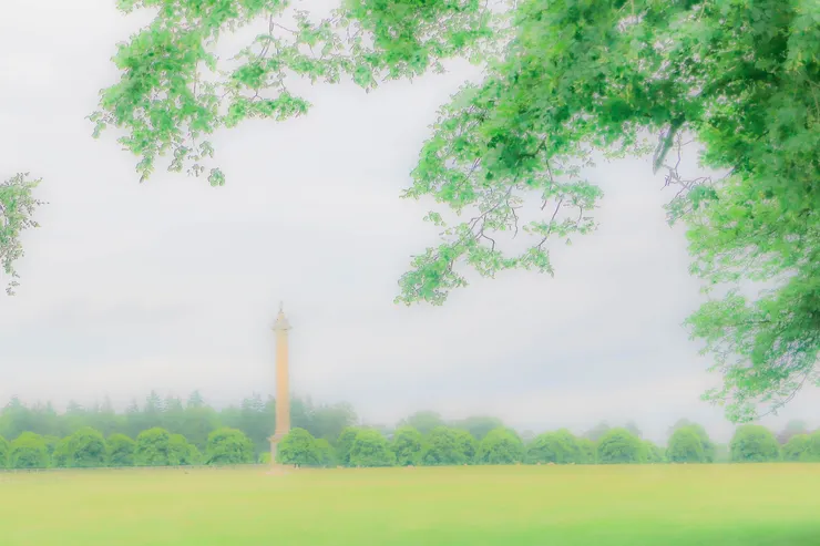 草地上單獨屹立著的勝利紀念柱