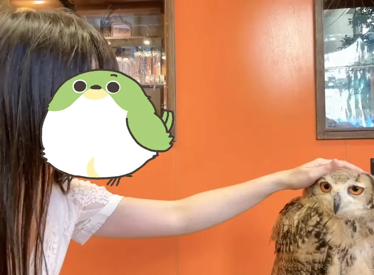 肯給我摸很久的孩紙