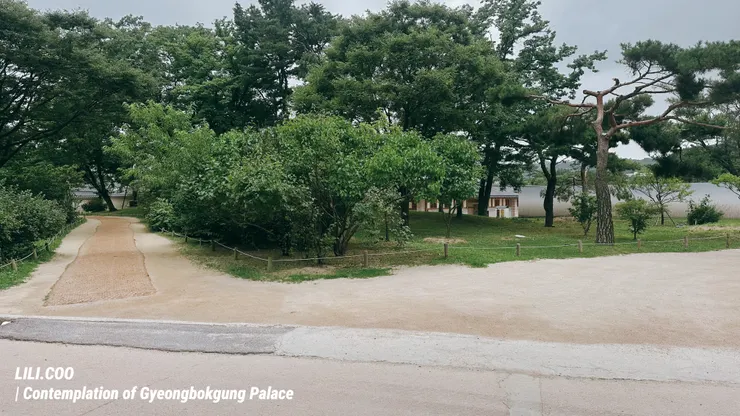 直走後右手邊會有兩個叉路,選左邊這條。