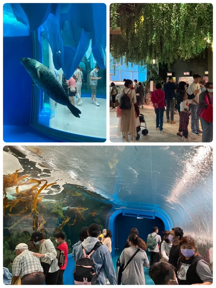 可以看到不同區域的海洋生態