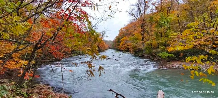 奥入瀬渓