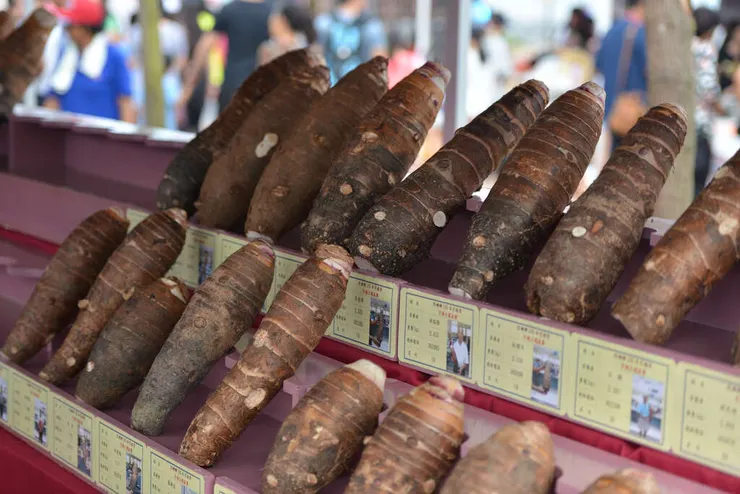 照片取自金門觀光旅遊網站