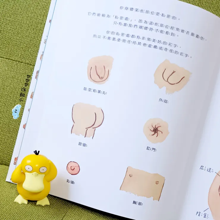 這些部位都有自己的正確名字喔～