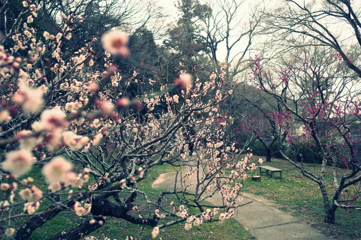 計劃外的驚喜,比什麼都還令人開心