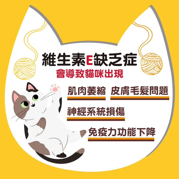 維生素E缺乏症會導致貓咪出現以下症狀