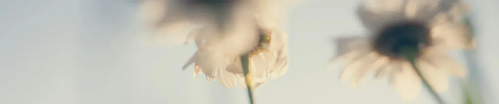 卡個吐司的沙龍