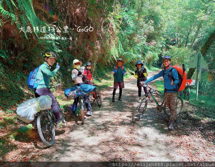 【大霸群峰4百岳。兩天一夜】觀霧大鹿林道東線騎越野單車/馬達