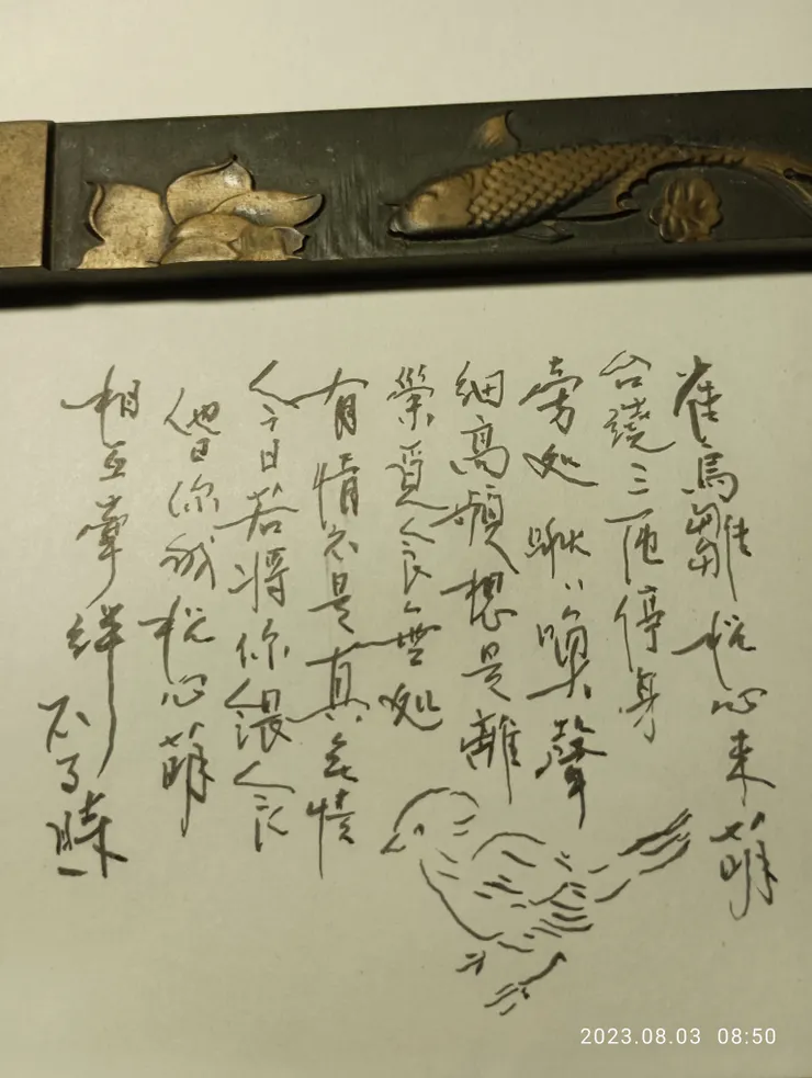 雀鳥雛，簡描寫述