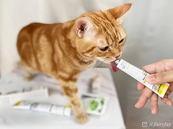 竣寶超級維他命營養膏(專業版)擁有12種必需維生素的特殊配方