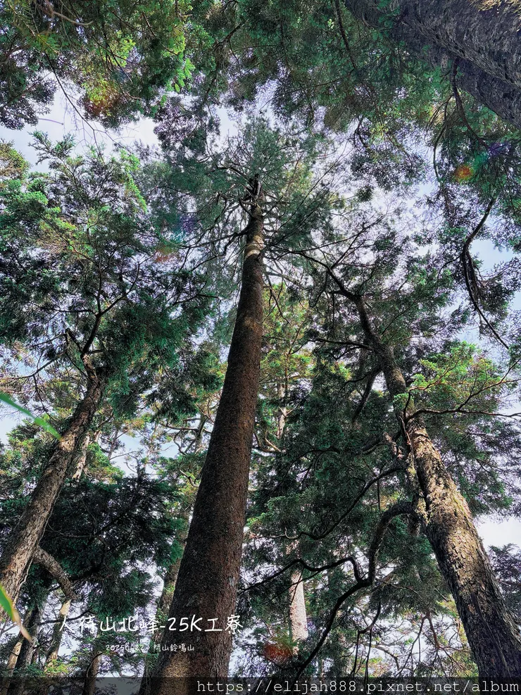 【閂山鈴鳴。兩日走50公里百岳行】海拔3272公尺 鈴鳴山