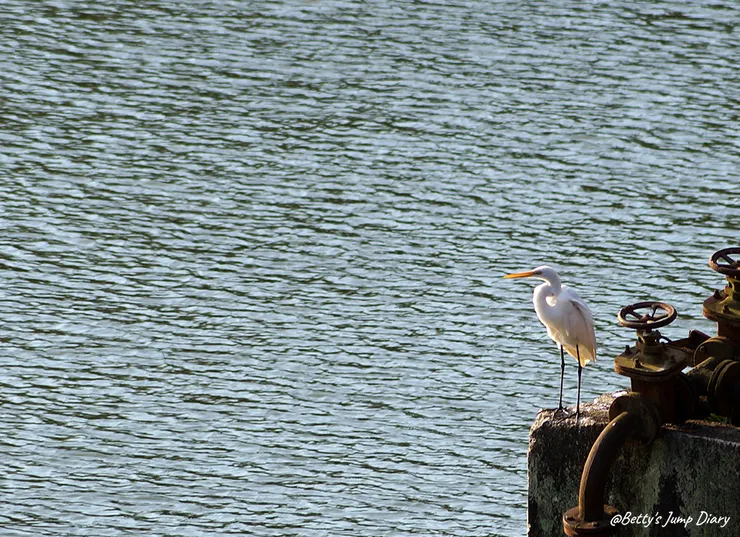 ▲峨眉湖吊橋風景區/圖片來源:Betty's Jump Diary