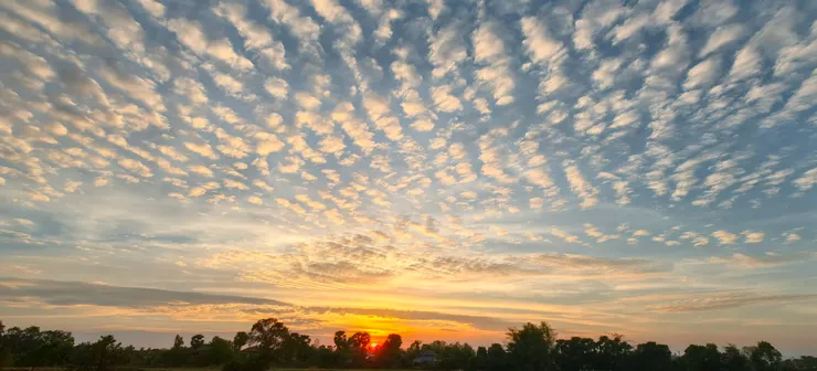 手機攝於柬埔寨鄉村