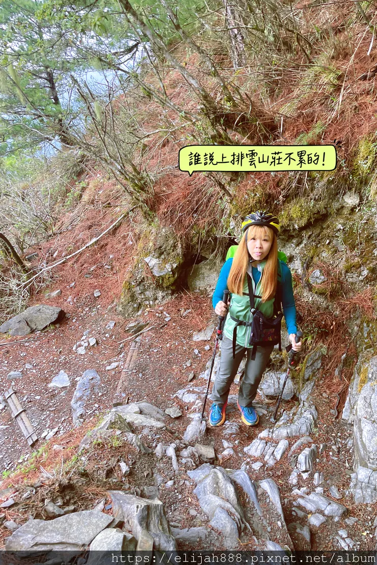 【玉山主峰西峰.兩天兩夜】南投縣信義鄉的望鄉部落艾度民宿/塔