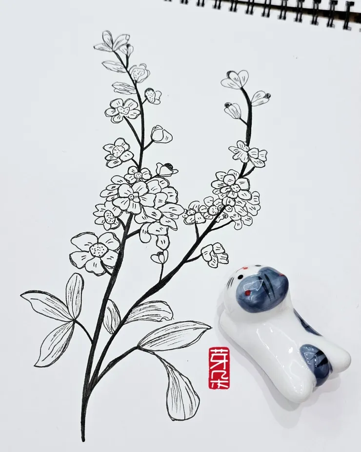 圖。文／布恣芽朵