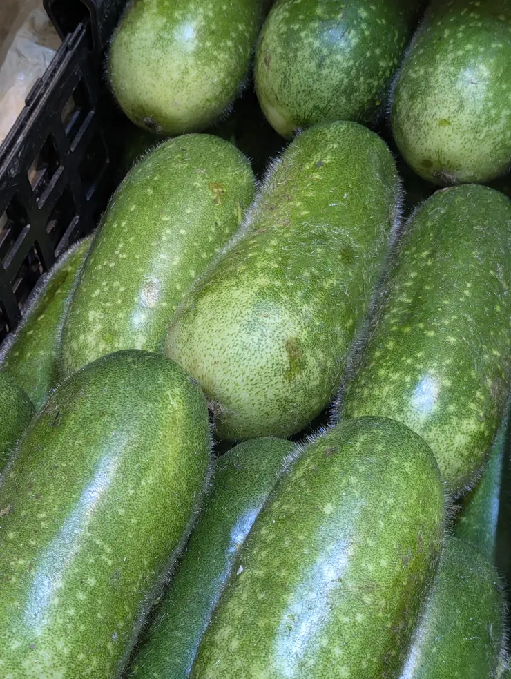 在台灣沒看過長毛的毛瓜