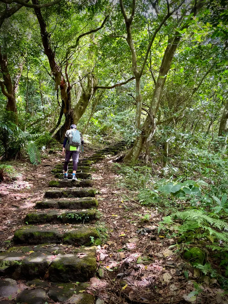 許多階梯,是練腳力路線無誤