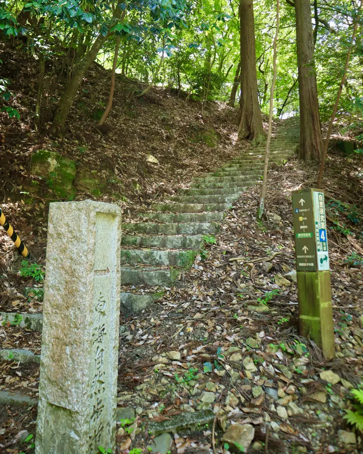 從停車場旁的石梯向上爬