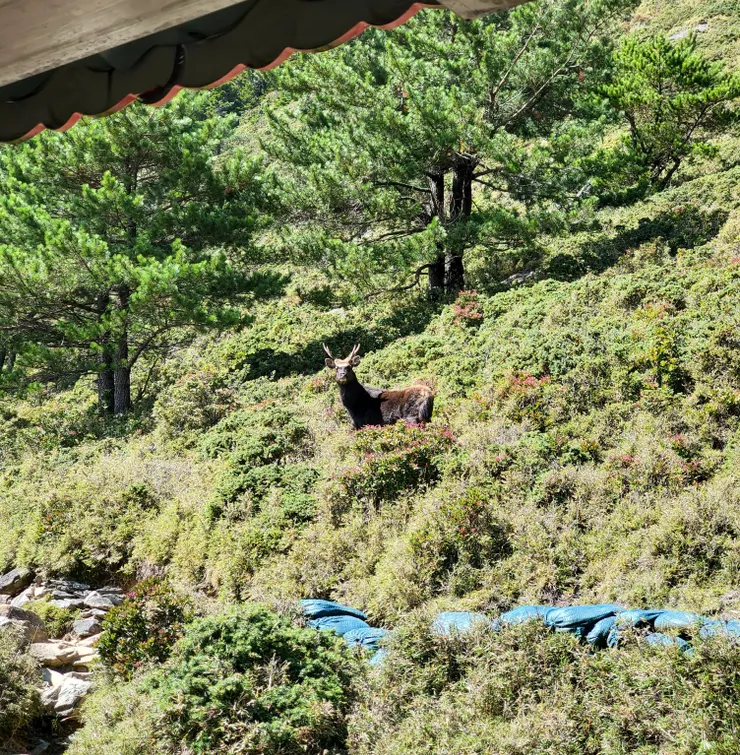 嘉明湖管理員☝️