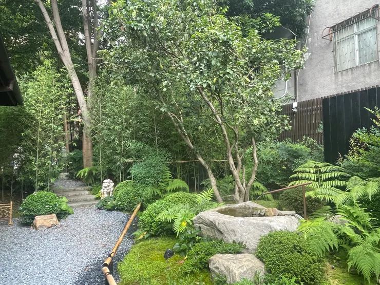裏花園，展現台灣原生植物和日本技師們的生活故事交織而成的日式庭園景觀。