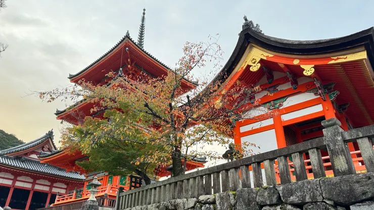 清晨的清水寺山門