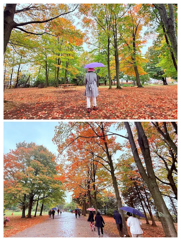 下雨天多了「濕」意和「詩」意