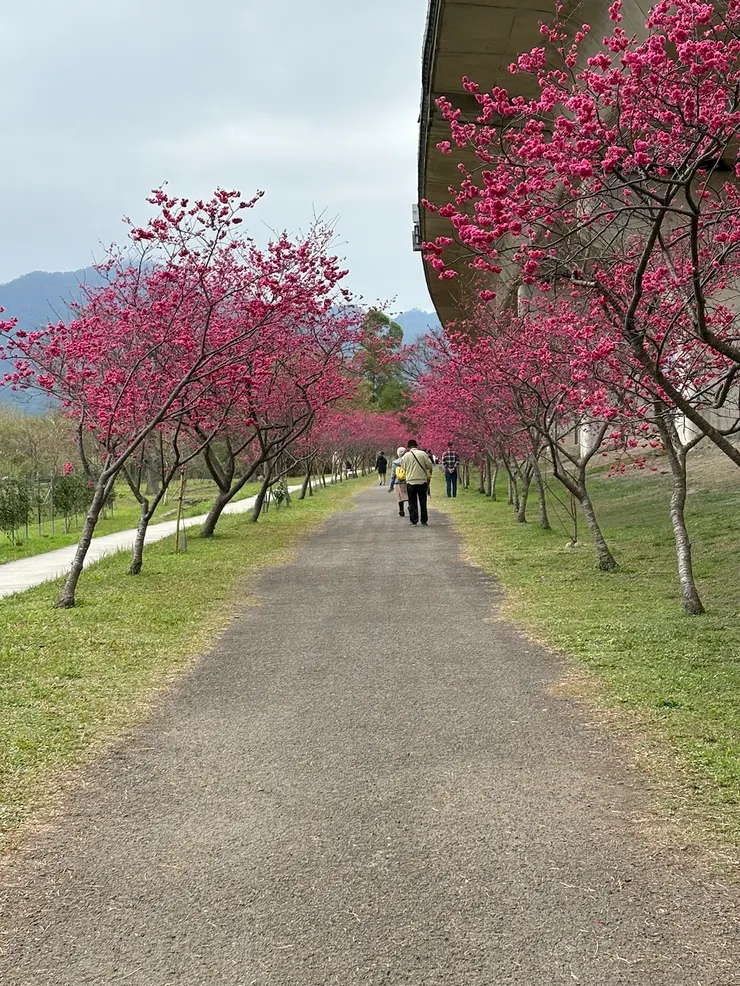 竹東頭前溪河濱生態公園