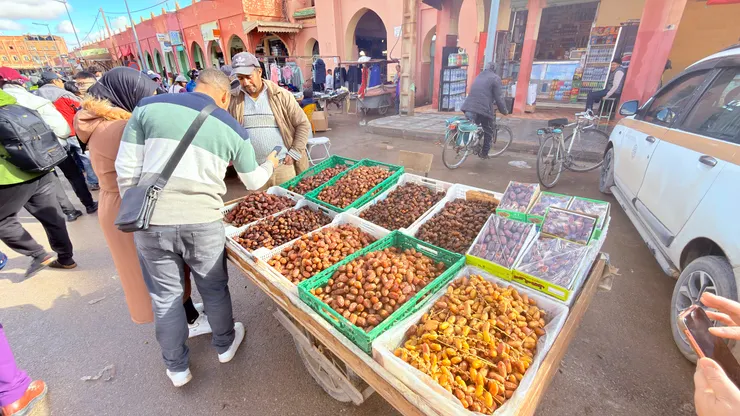 到中東會一直看到椰棗