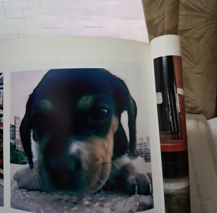 那時候還沒有智慧型手機2008年