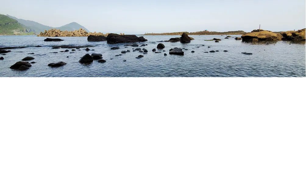 鳥毛遊記部落格