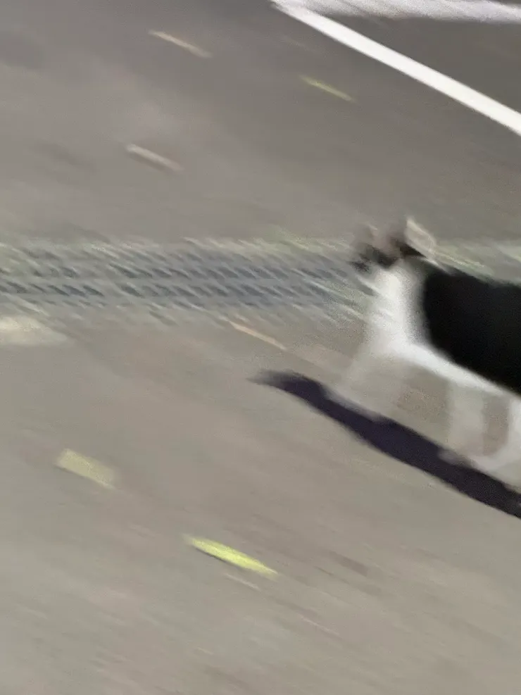 2026/02/23 我拍的