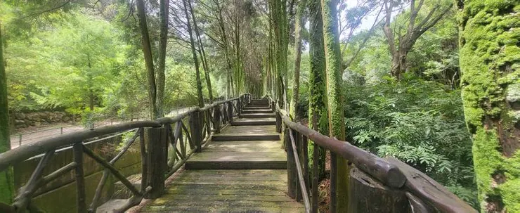 新社莊園(李建崑攝影)