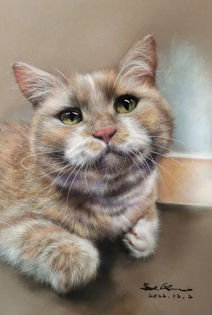 胖胖貓 (媒材 : 粉彩)