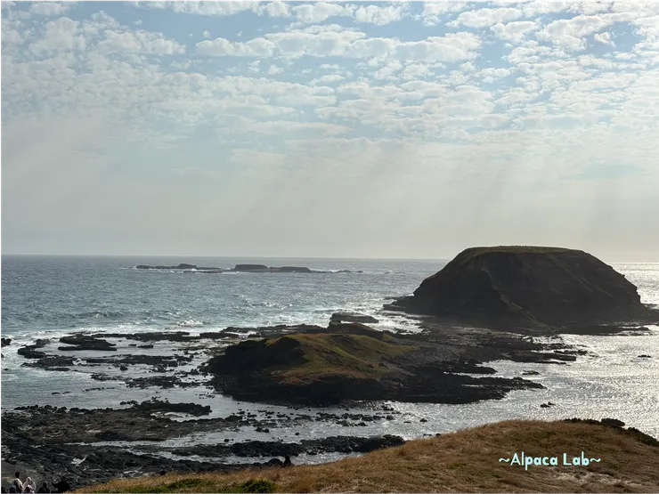 經過Penguin Parade再繼續往後開,Nobbies Boardwalk景觀平台可以看夕陽,看了看前方兩個岩石