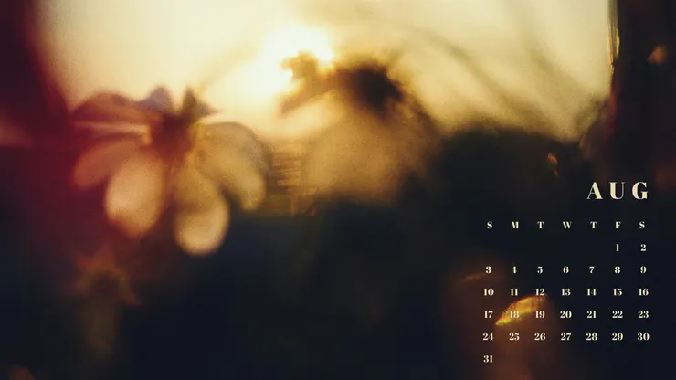 202508月曆桌布 黃昏下的花影