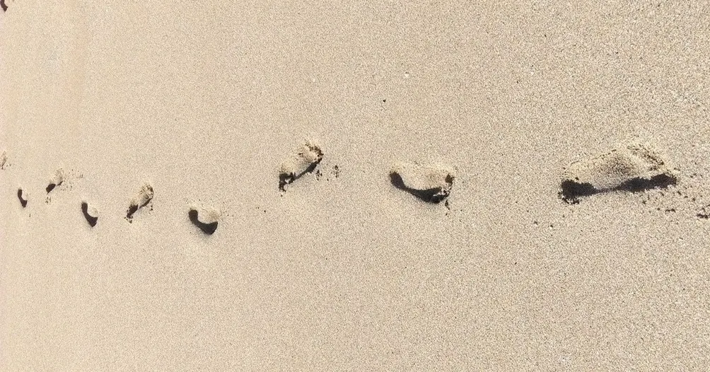 黑皮媽🌈生活觀察