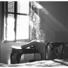 感觉的蜉蝣的沙龍