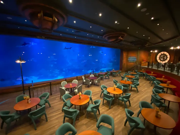 水族館內的鯊魚餐廳