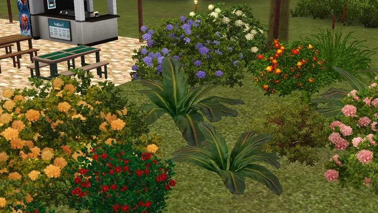 到底如何把這裏的花草不要排得太密，也不要太疏，也不要遮住兩旁的景物；花的款式和顏色不要太單一，也不要太鮮艷和雜亂...我真的費了很多功夫。