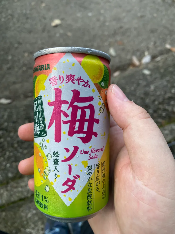 買了梅子碳酸飲