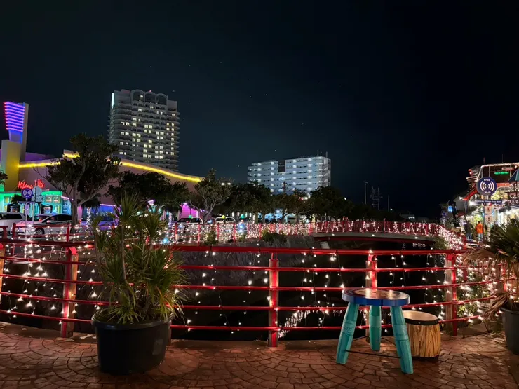 夜晚的美國村。（圖片來源：辰心）