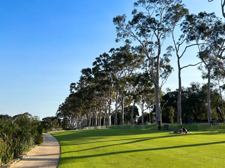 Kings Park 一角。