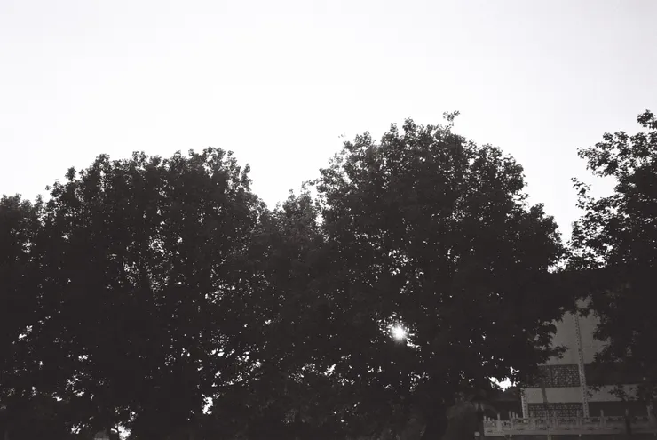 屏東一隅。／影像提供：黃曦