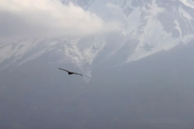 富士山靜靜矗立如常，就像真正的幸福，不喧嘩，卻深刻。