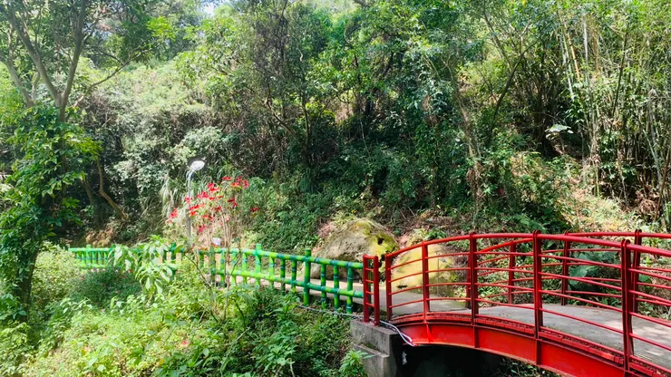 如果都是這種路，爬山就變得很簡單了。